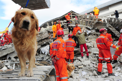 the Oklahoma disaster, Search and Rescue Dogs are called upon to rescue trapped victims. 