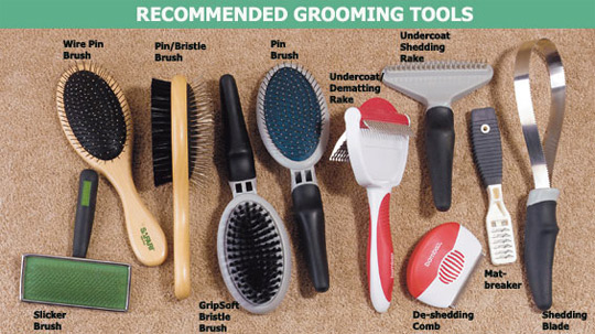 grooming-tools